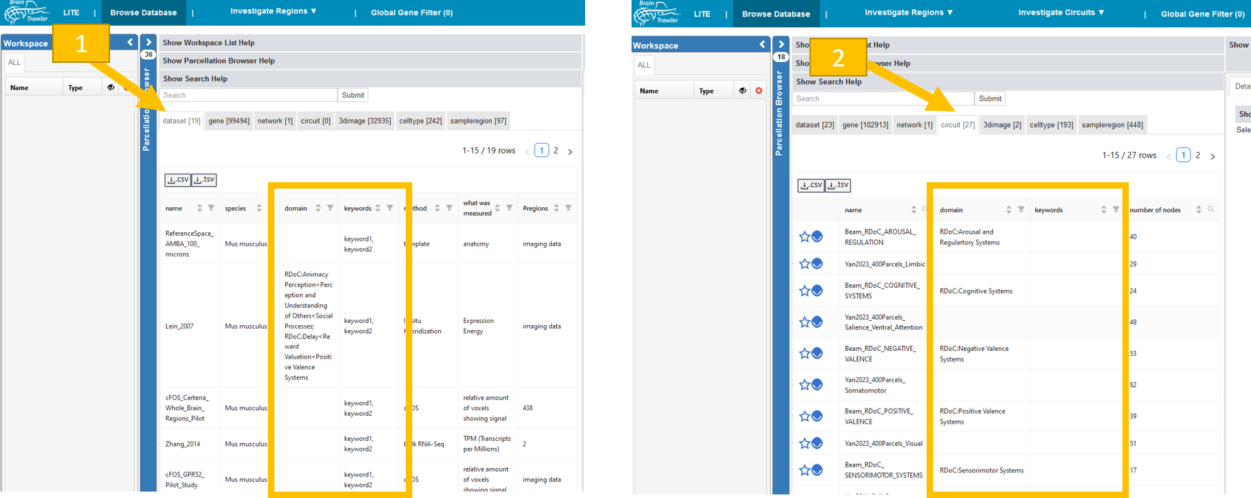 RDoC domains in DB